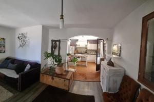 Appartements le studio 148 : Appartement 1 Chambre