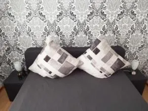 Große Wohnung in Tungendorf mit Grill - 新明斯特