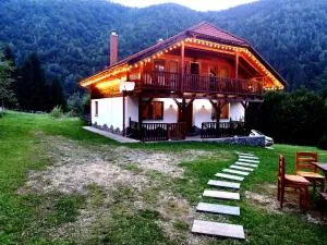 Cottage Piatra Craiului - 泽尔内什蒂