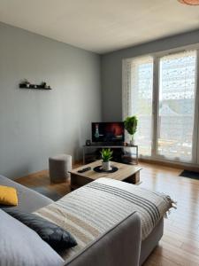 Appartements Le Balcon des Marots - Proche centre-ville Troyes : photos des chambres
