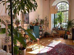 Studio Włókno - słoneczny loft u Scheiblera