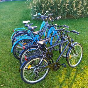 Przystań Nad Miążką