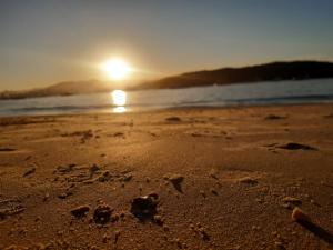 Residencial Rouxinol