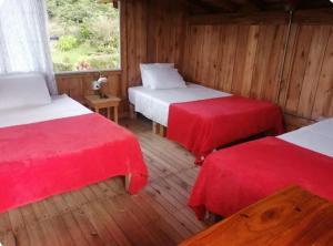 Cabañas Lucerito Colibrí