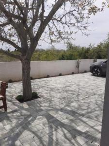 Apartment Jasmina