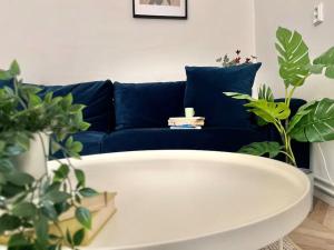 Beautiful New Town Apartment