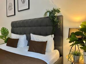 Beautiful New Town Apartment