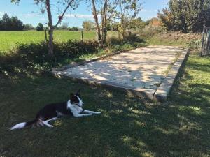 Appartements tiny house independante climatisee : photos des chambres