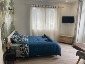 Appartements Charmant F2 en centre bourg : photos des chambres