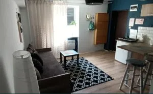 COZYMini Apartment - Budzów