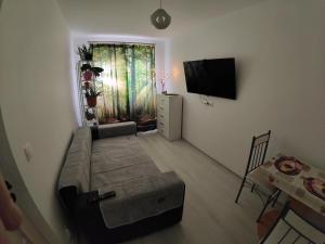 HANA Apartament