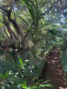 Eco Villas Tambor Tucanes