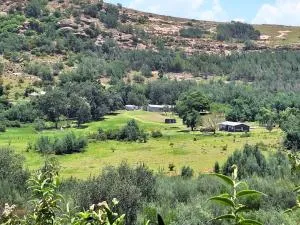 Benlamond Guest Farm - Fouriesburg