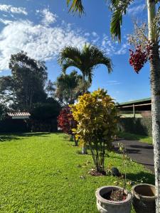 Eco Villas Tambor Tucanes