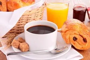 Chambre d'hôtes au cœur des Vosges et proche de l'Alsace - 普兰凡