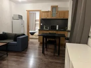 T2 saint priést - Corbas