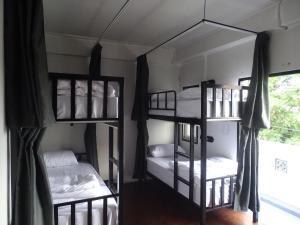 The Connection Hostel