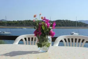 Apartments Knezak - Iž Mali