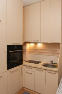 Luxury Apartment Vukcevic