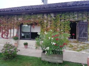 B&B / Chambres d'hotes Le Chai de Serres : photos des chambres