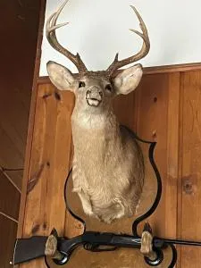 Cabin in the Clouds - Stanley