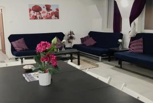 Stag & Party Travelers Flat