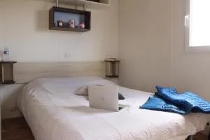 Camping La Venise de l'Ouest - 贝尔纳堡