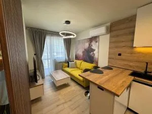 Luxury flat in Pleven - Metschka