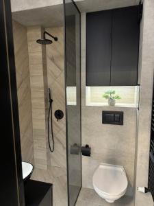 Luxury flat in Pleven