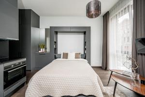 Vilnius Old-Town Renaissance Studios