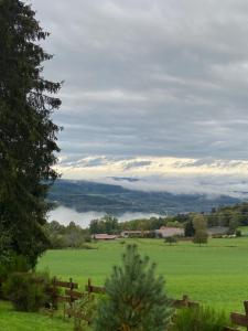 Chalets Chalet authentique au calme, en lisiere de foret, montagne, sentiers 15mn Gerardmer & Alsace 