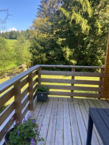 Chalets Chalet authentique au calme, en lisiere de foret, montagne, sentiers 15mn Gerardmer & Alsace 