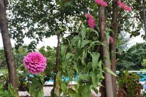 Finca Marina Turismo Rural