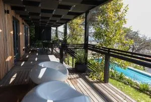 The Trees of Zar - 开普敦