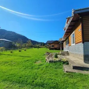 Садиба Грицюка - Wygoda