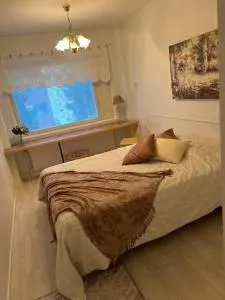 Matkustajakoti Evakko - 库奥尔塔内