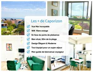 Caporizon-Cap239-Vue mer-50m plage