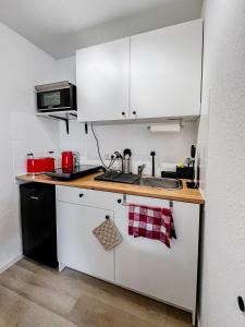 Cozy Studi Apartment - Kaiserslautern