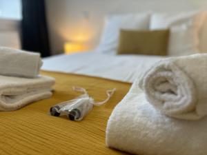 Appartements Le Corail, Appartement Confort, Centre-ville : photos des chambres