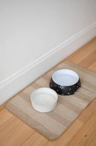 Spacious light-filled 3BD sanctuary in Northcote