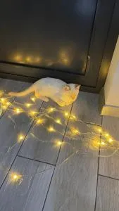 Tiny House in Kashka Suu Village - Vorontsovskoye