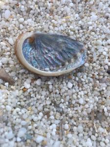 Casa del Gelsomino img32