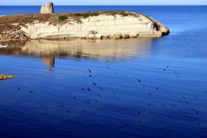 Casa del Gelsomino img33