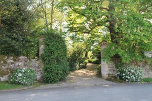 L'horta photo 21