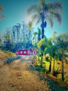 Sítio Nono Luiz - São João