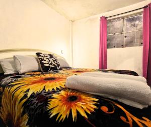 Río Rooms City Center