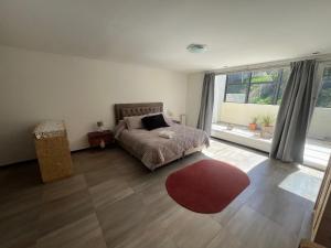 Departamento céntrico y moderno en Comodoro - Mooi Apart