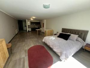 Departamento céntrico y moderno en Comodoro - Mooi Apart