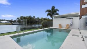 Aquila - Majesty and Elegance