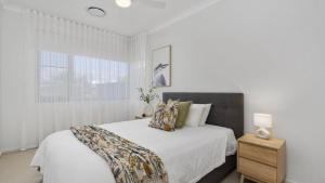 Aquila - Majesty and Elegance